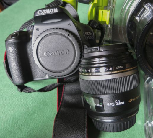 Canon 550D + Diveross DRP100 + 60 macro